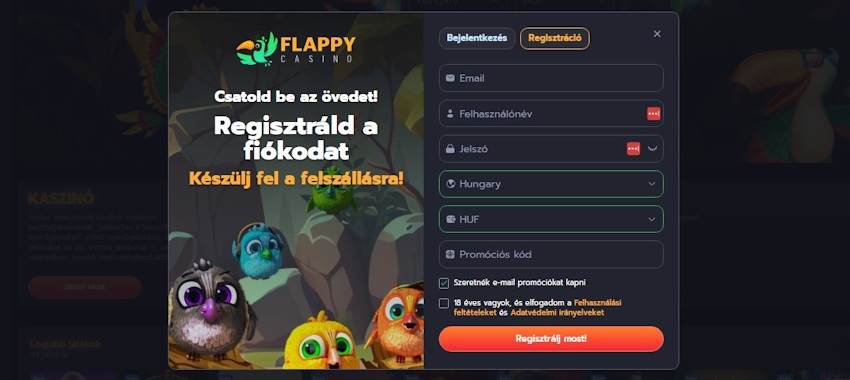 Flappy regisztrációs űrlap
