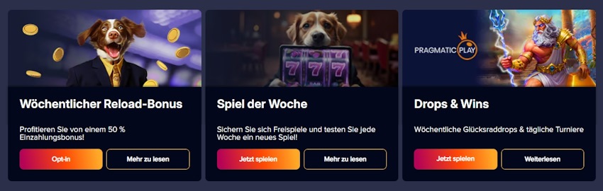 PuppyBet Casino-Boni